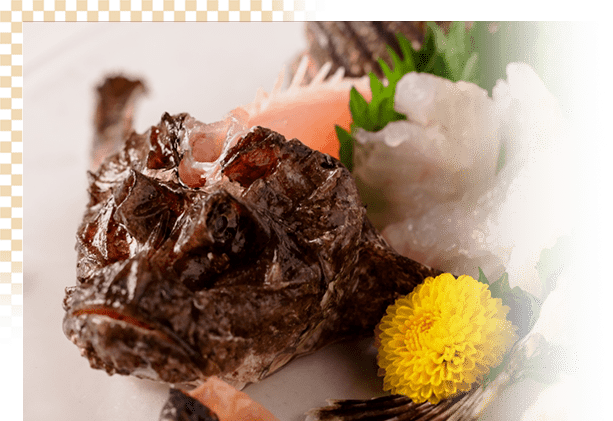 地元・香川の新鮮食材を贅沢に使用